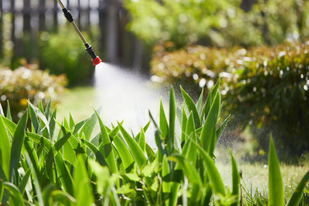 Tamper-Resistant Bait Stations for Rodents in Ball