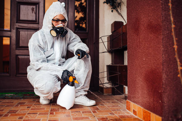 Attic and Crawl Space Rodent Treatment in Ball